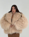 Pelliccia in Mongolia N118 - NUOVA - pelliccia in Mongolia con collo sciallato, colorazione miele