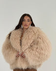 Pelliccia in Mongolia N118 - NUOVA - pelliccia in Mongolia con collo sciallato, colorazione miele