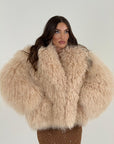 Pelliccia in Mongolia N118 - NUOVA - pelliccia in Mongolia con collo sciallato, colorazione miele